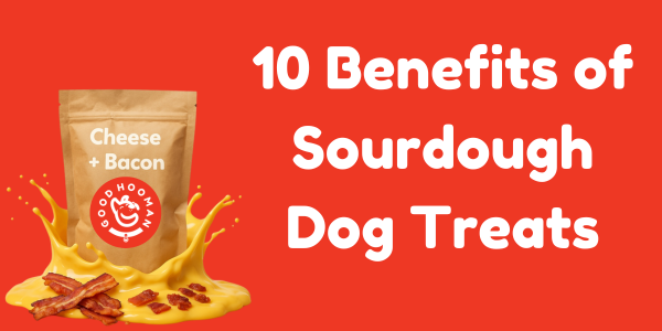 10 Benefits of Sourdough Dog Treats