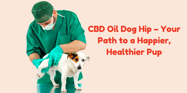 CBD Oil Dog Hip – Your Path to a Happier, Healthier Pup
