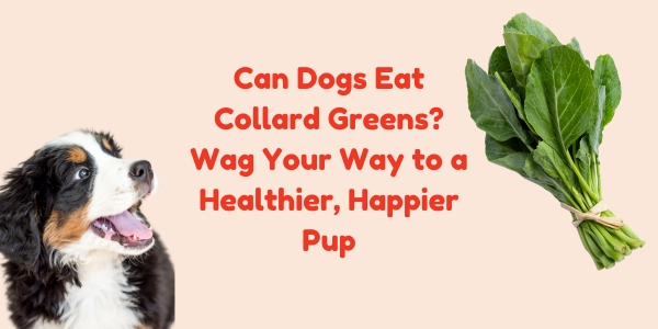 Can Dogs Eat Collard Greens? Wag Your Way to a Healthier, Happier Pup