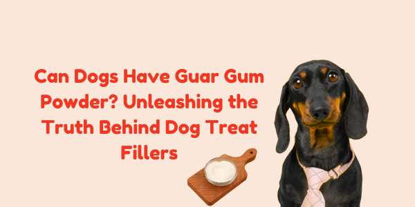 Can Dogs Have Guar Gum Powder? Unleashing the Truth Behind Dog Treat Fillers