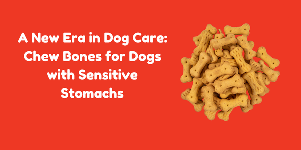 A New Era in Dog Care: Chew Bones for Dogs with Sensitive Stomachs