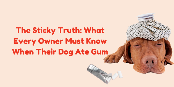 The Sticky Truth: What Every Owner Must Know When Their Dog Ate Gum