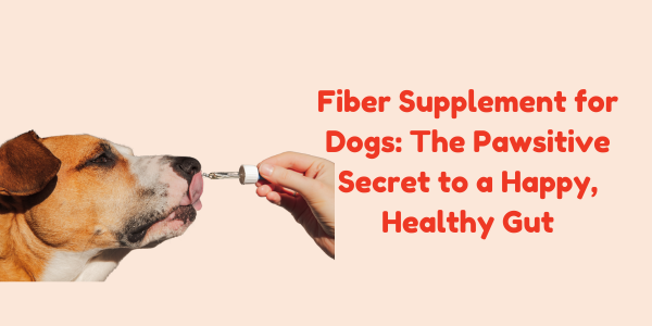 Fiber Supplement for Dogs: The Pawsitive Secret to a Happy, Healthy Gut