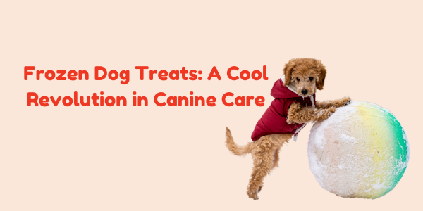 Frozen Dog Treats: A Cool Revolution in Canine Care