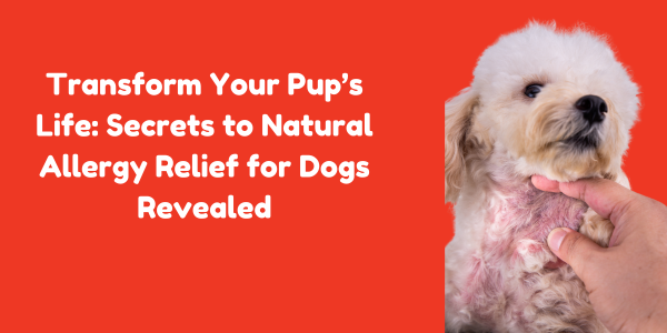 Transform Your Pup’s Life: Secrets to Natural Allergy Relief for Dogs Revealed