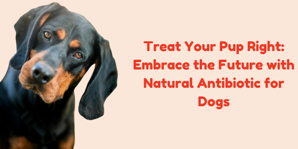 Treat Your Pup Right: Embrace the Future with Natural Antibiotic for Dogs