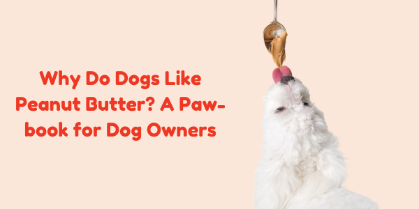 Why Do Dogs Like Peanut Butter? A Paw-book for Dog Owners