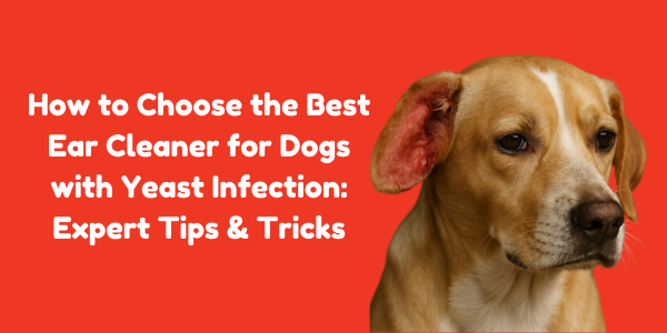 How to Choose the Best Ear Cleaner for Dogs with Yeast Infection: Expert Tips & Tricks