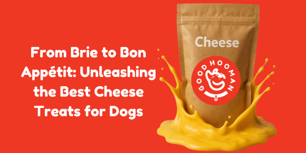 From Brie to Bon Appétit: Unleashing the Best Cheese Treats for Dogs