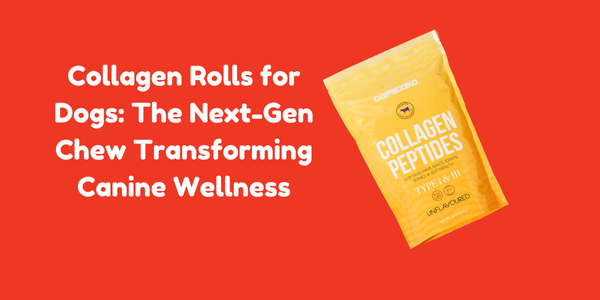 Collagen Rolls for Dogs: The Next-Gen Chew Transforming Canine Wellness
