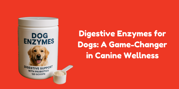 Digestive Enzymes for Dogs: A Game-Changer in Canine Wellness