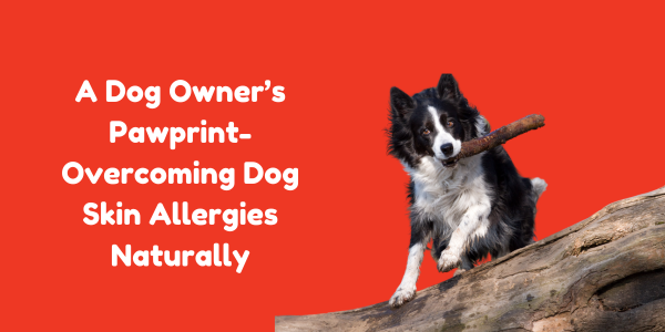 A Dog Owner’s Pawprint- Overcoming Dog Skin Allergies Naturally