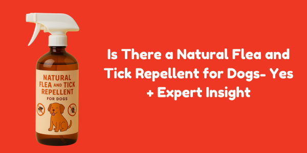 Is There a Natural Flea and Tick Repellent for Dogs- Yes + Expert Insight