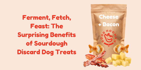 Ferment, Fetch, Feast: The Surprising Benefits of Sourdough Discard Dog Treats