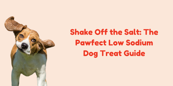 Shake Off the Salt: The Pawfect Low Sodium Dog Treat Guide