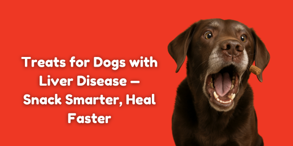 Treats for Dogs with Liver Disease — Snack Smarter, Heal Faster