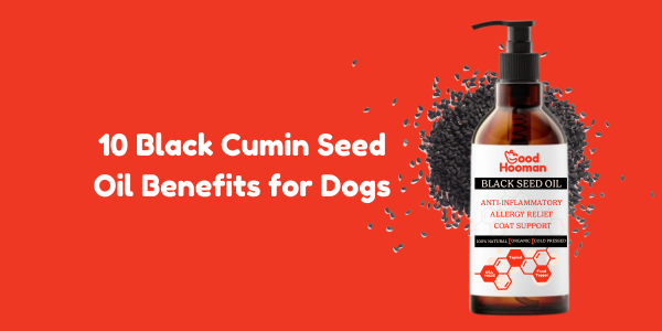 10 Black Cumin Seed Oil Benefits for Dogs