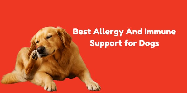 Best Allergy And Immune Support for Dogs