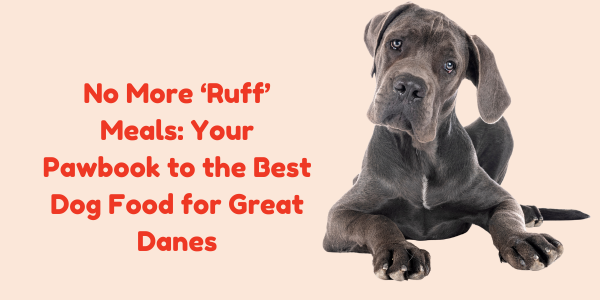 No More ‘Ruff’ Meals: Your Pawbook to the Best Dog Food for Great Danes