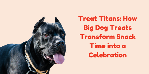 Treat Titans: How Big Dog Treats Transform Snack Time into a Celebration