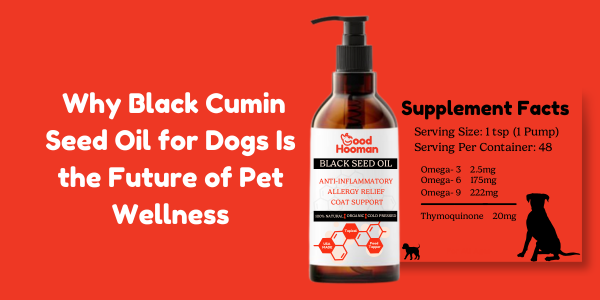 Why Black Cumin Seed Oil for Dogs Is the Future of Pet Wellness