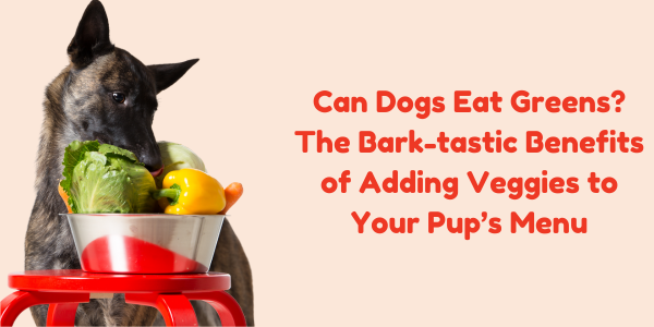 Can Dogs Eat Greens? The Bark-tastic Benefits of Adding Veggies to Your Pup’s Menu