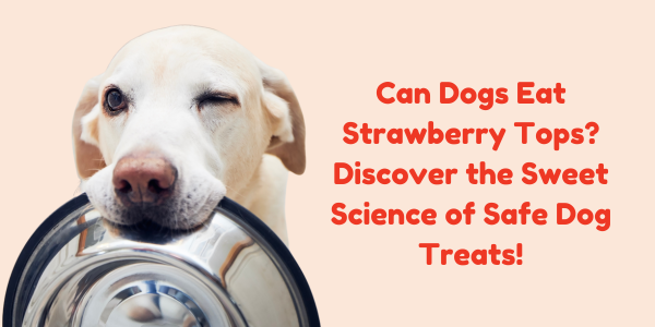 Can Dogs Eat Strawberry Tops? Discover the Sweet Science of Safe Dog Treats!