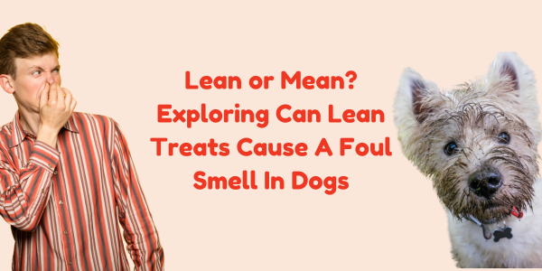 Lean or Mean? Exploring Can Lean Treats Cause A Foul Smell In Dogs