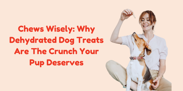 Chews Wisely: Why Dehydrated Dog Treats Are The Crunch Your Pup Deserves