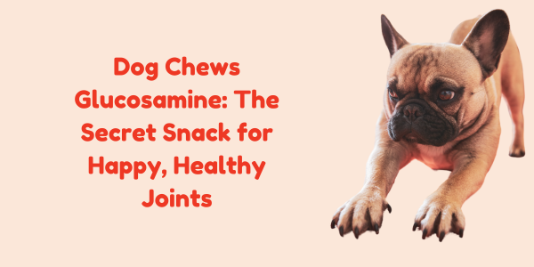 Dog Chews Glucosamine: The Secret Snack for Happy, Healthy Joints
