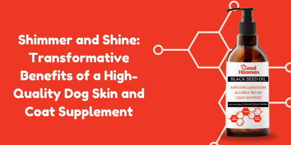 Shimmer and Shine: Transformative Benefits of a High-Quality Dog Skin and Coat Supplement