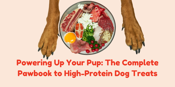 Powering Up Your Pup: The Complete Pawbook to High-Protein Dog Treats