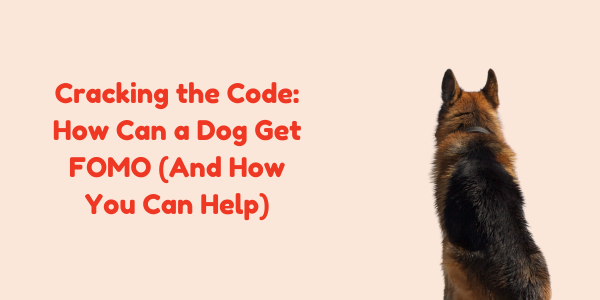 Cracking the Code: How Can a Dog Get FOMO (And How You Can Help)