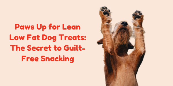 Paws Up for Lean Low Fat Dog Treats: The Secret to Guilt-Free Snacking