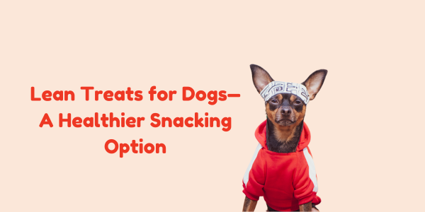 Lean Treats for Dogs—A Healthier Snacking Option