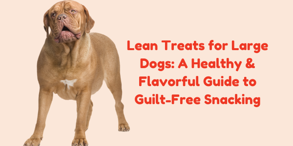 Lean Treats for Large Dogs: A Healthy & Flavorful Guide to Guilt-Free Snacking