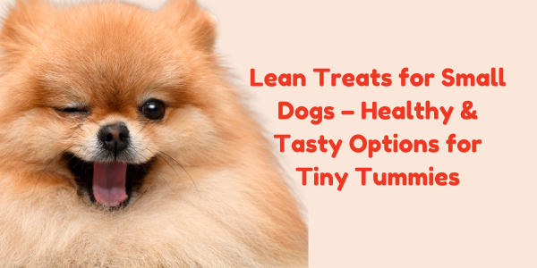 Lean Treats for Small Dogs – Healthy & Tasty Options for Tiny Tummies