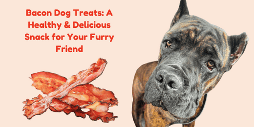 Bacon Dog Treats: A Healthy & Delicious Snack for Your Furry Friend