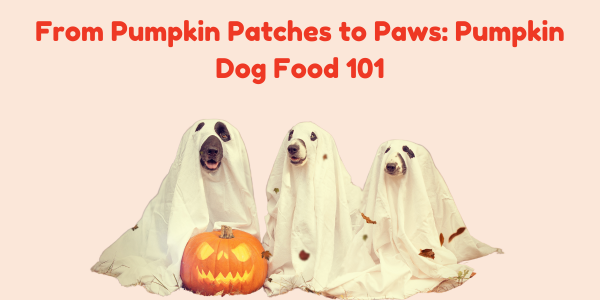 From Pumpkin Patches to Paws: Pumpkin Dog Food 101