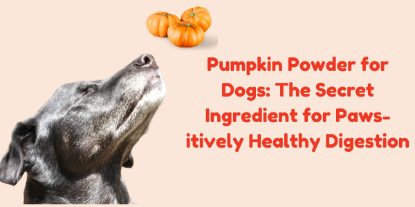 Pumpkin Powder for Dogs: The Secret Ingredient for Paws-itively Healthy Digestion