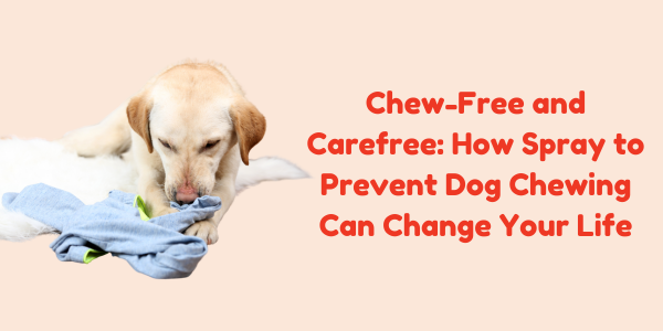 Chew-Free and Carefree: How Spray to Prevent Dog Chewing Can Change Your Life