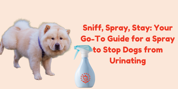 Sniff, Spray, Stay: Your Go-To Guide for a Spray to Stop Dogs from Urinating