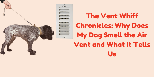 The Vent Whiff Chronicles: Why Does My Dog Smell the Air Vent and What It Tells Us