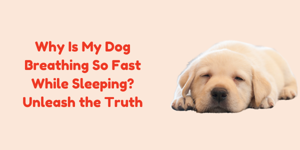 Why Is My Dog Breathing So Fast While Sleeping? Unleash the Truth