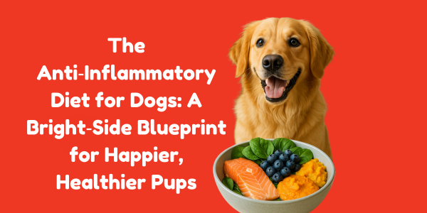 The Anti‑Inflammatory Diet for Dogs: A Bright‑Side Blueprint for Happier, Healthier Pups