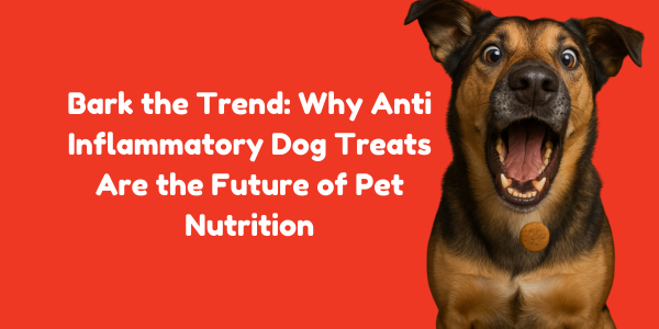 Bark the Trend: Why Anti Inflammatory Dog Treats Are the Future of Pet Nutrition