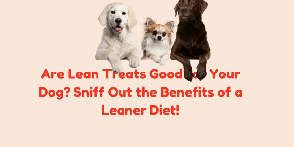 Are Lean Treats Good for Your Dog? Sniff Out the Benefits of a Leaner Diet!