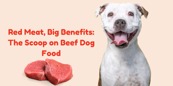 Red Meat, Big Benefits: The Scoop on Beef Dog Food