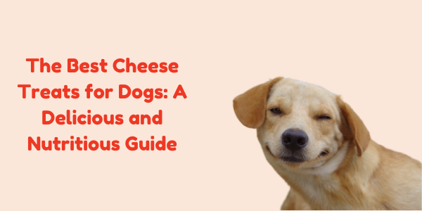 The Best Cheese Treats for Dogs: A Delicious and Nutritious Guide