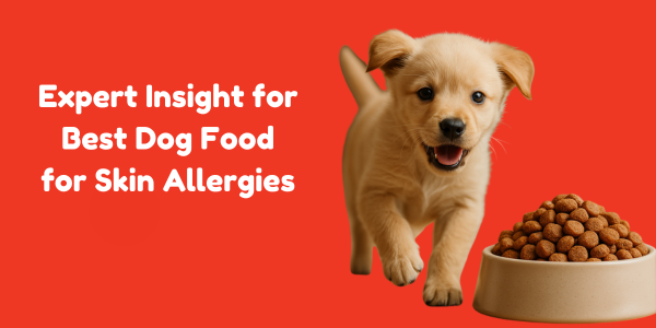 Expert Insight for Best Dog Food for Skin Allergies